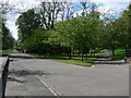 NS6265 : Twin Paths Alexandra Park by George Rankin