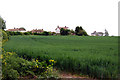 View across a  field to Thorne Road, Minster, Thanet, Kent