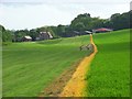 Farmland, Owslebury