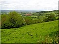 Herefordshire Countryside