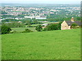 Field and cottage