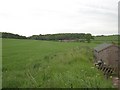 View south towards derelict barns beside River Stiffkey, East Barsham