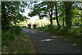 The Ulster Folk Museum (3)