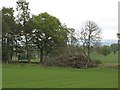 Woodpile by Glenshauch Wood