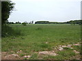 Arable land east of Pudleston