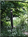 Footpath to Lapley