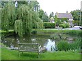 Village pond, Upper Wraxall