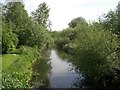 River Wensum from bridge at Doughton