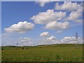 Farmland, Kimpton Down