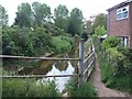 Footpath alongside Mill Race