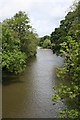 River Tamar: north from Horsebridge