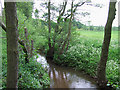 SJ7603 : The River Worfe near Ryton, Shropshire by Roger  Kidd