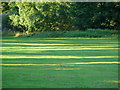 Open grassy area Masham