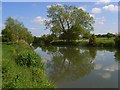 The River Thames, Radcot