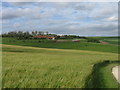 Ling Hall Farm - Typical Yorkshire Wolds Farm