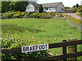 Braefoot