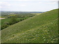 East Heslerton Wold - A Chalk Scarp