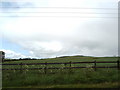 Field beside the M74