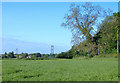 Field next to Lowfield Road