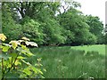 Shades of Green, Welsh St Donats