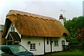 Thatched cottage