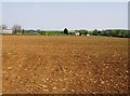 Arable land near The Channell