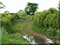 Footpath from Wetheral Pastures