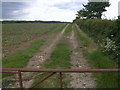 Track into fields north of Coleshill