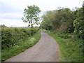 Lane from Pentylands farm