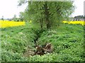 Brook near Creaton