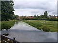 Station Moor of the Boxmoor trust