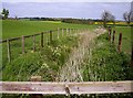 Ditch at Holdenby