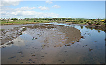 NU2410 : Aln Estuary upstream from Duchess Bridge by Dave Dunford