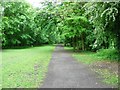 Footpath on the old railway line, Richmond