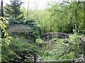 Stream at Aston Mill