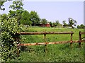 Rough grazing land at Elmbank Farm