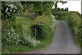 The Millbrooke Road near Bangor