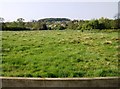 Paddocks approaching Epwell