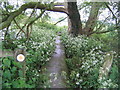 Footpath to Kingsbridge by Padbury Brook