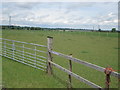 Pony paddocks near Blunham