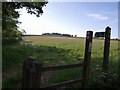 East Devon Way near Hartgrove Farm