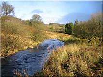 SS7639 : River Barle by Rupert Fleetingly
