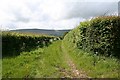 Old Track to Llanwonog Farm