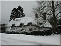 Snow in Bury Green, Little Hadham