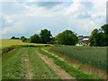 SU0049 : Cornbury Farm and a farm track, near West Lavington by Brian Robert Marshall