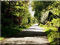 Original entrance to Corsemalzie House