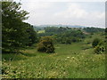 Down the valley towards a Kent designated woodland habitat