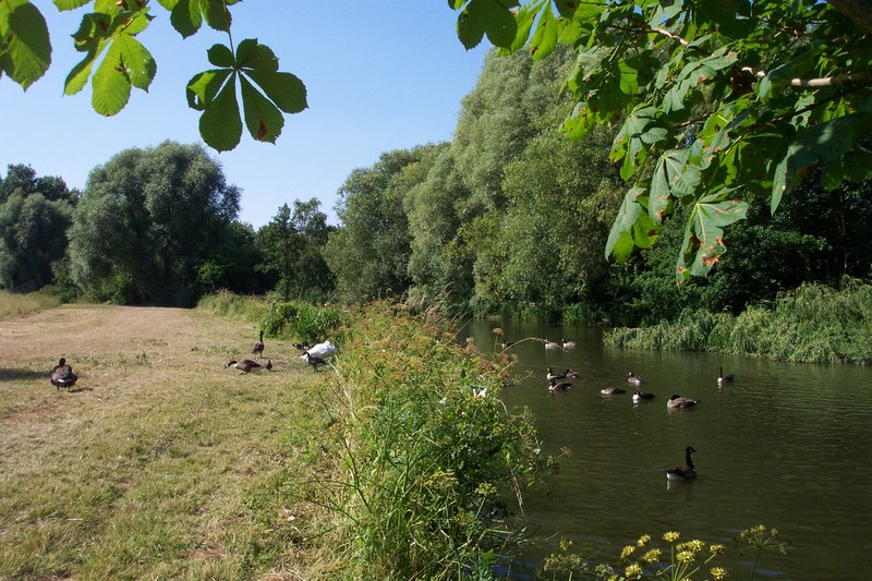 Upper Lake, Whiteknights Park,... © Chris Wood :: Geograph Britain and ...