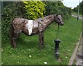 Tethered horse next to cycleway on 