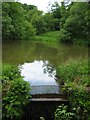 Warslow Hall feeder reservoir